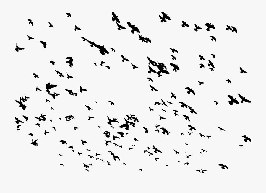 Flock Of Birds Clipart Drawing - Frame By Frame Of Bird Flying, Transparent Clipart