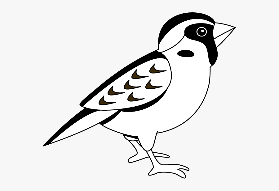 Black And White Sparrow Clipart - Sparrow Black And White, Transparent Clipart
