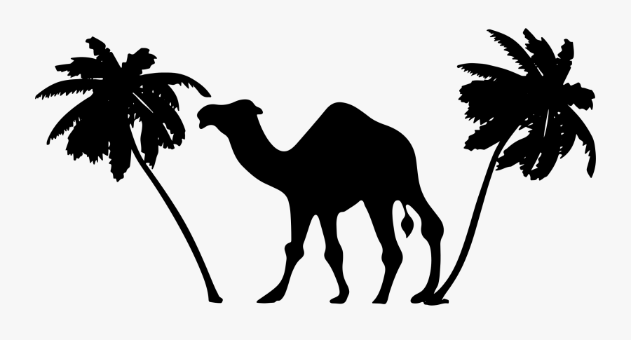 Clipart - Camel And Palm Tree Silhouette, Transparent Clipart