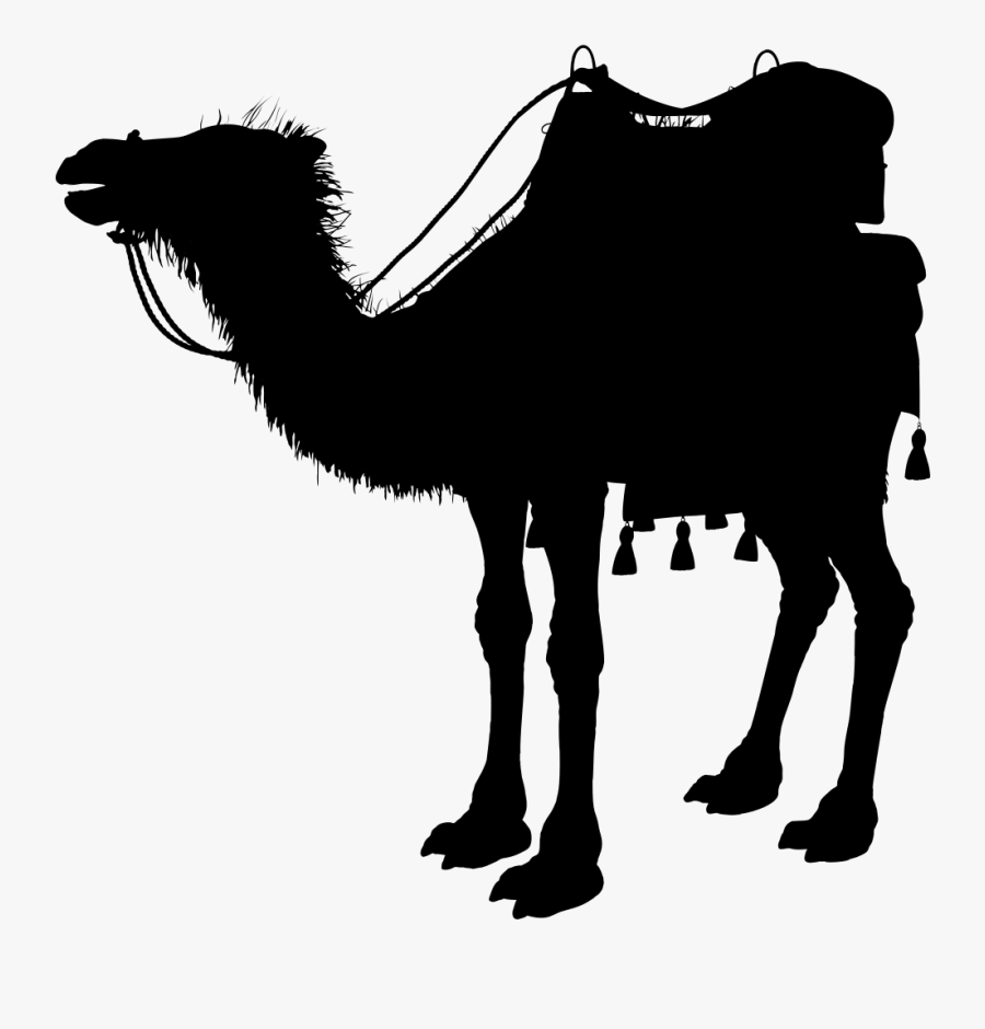 Pack Camel Silhouette By Jazella Variation, Transparent Clipart