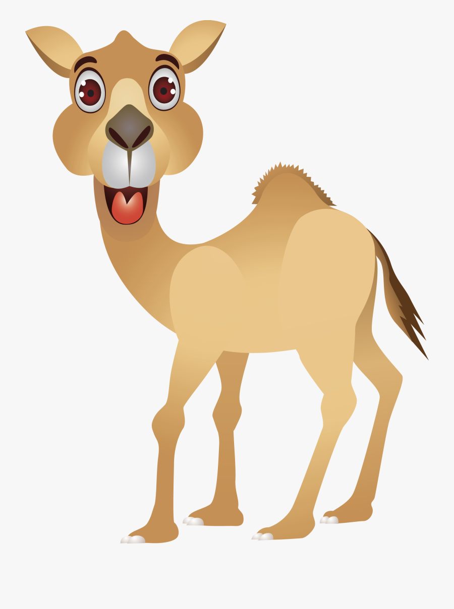 Camel Cartoon Humour Clip Art - Cartoon Camel Images Free, Transparent Clipart