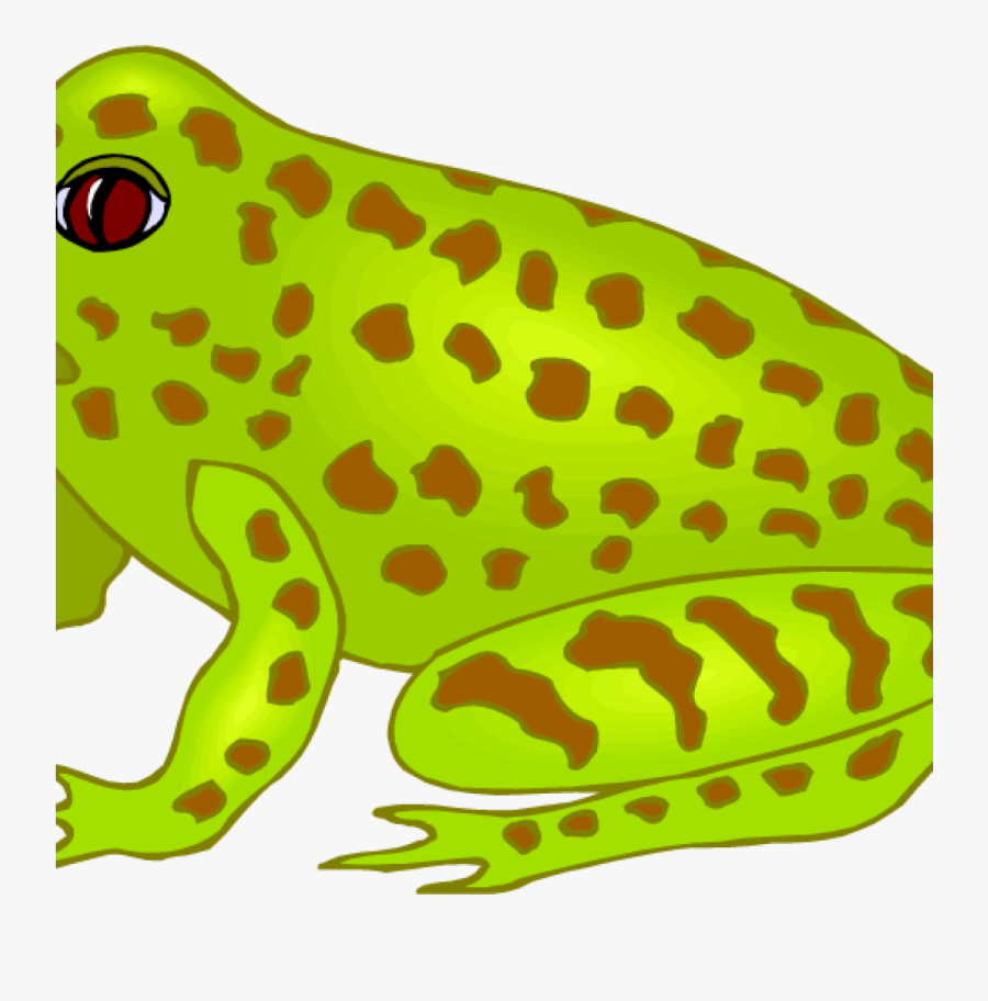 Transparent Frog Clipart Png Glass Frog Clip Art , Free Transparent