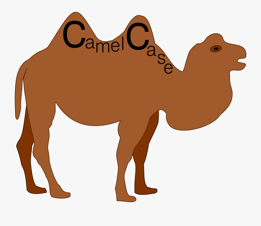 Clip Art Camel Images - Pascal Case Camel Case, Transparent Clipart