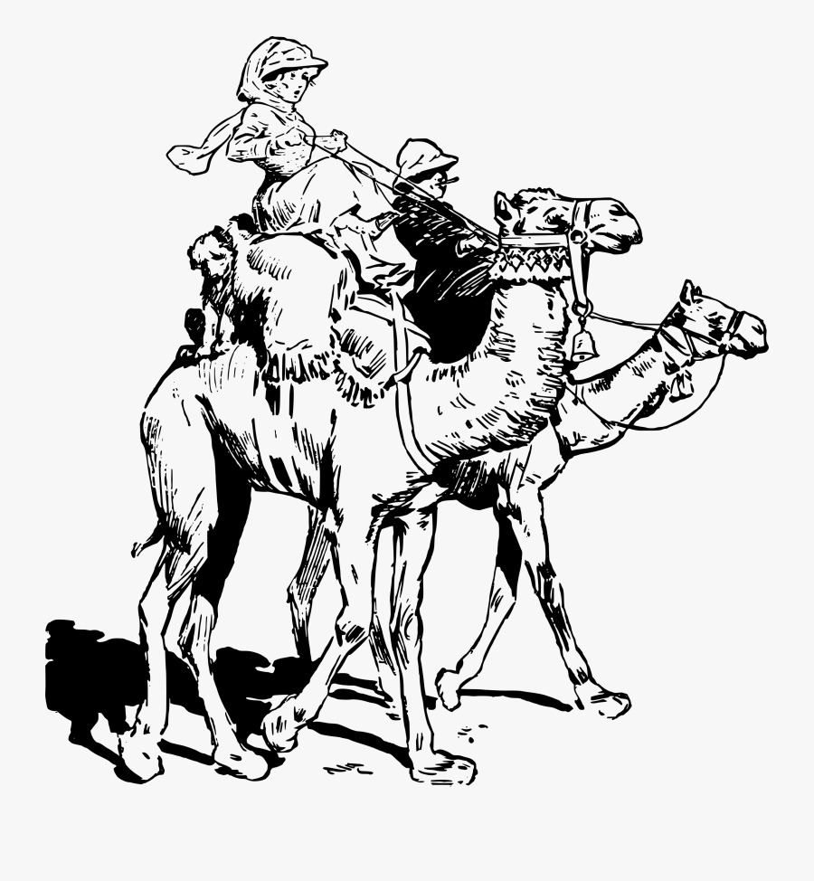 Lady On Camel Clip Arts - Ride A Camel Clipart Black And White, Transparent Clipart
