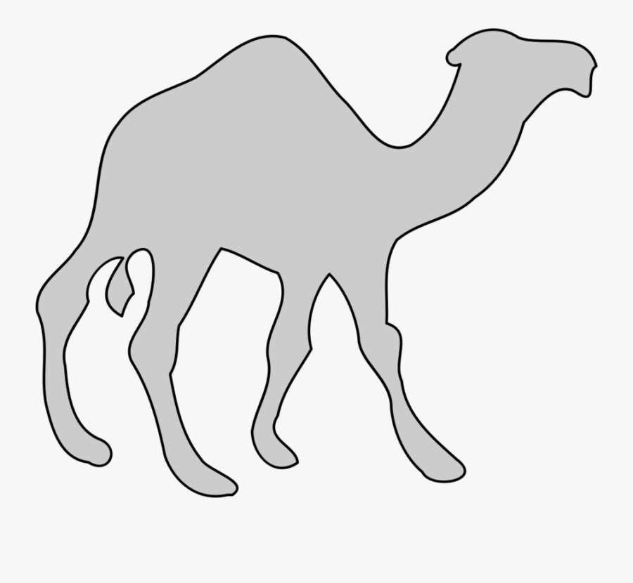 Camel,monochrome Photography,artwork - Cool Stuff Png, Transparent Clipart