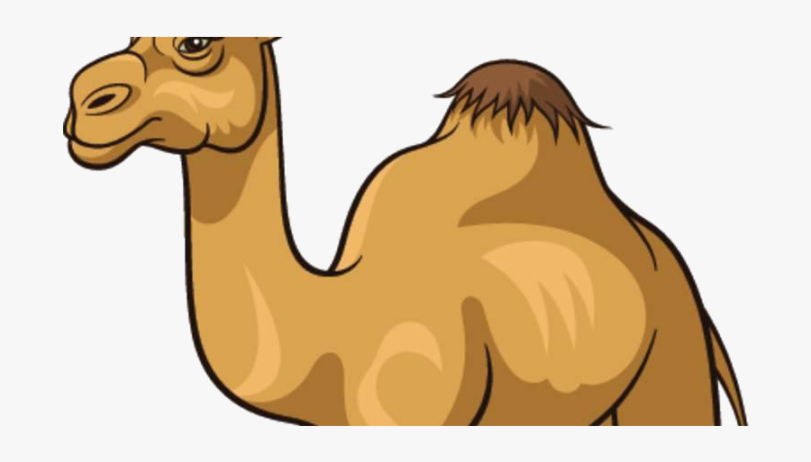 Camel Clipart, Transparent Clipart