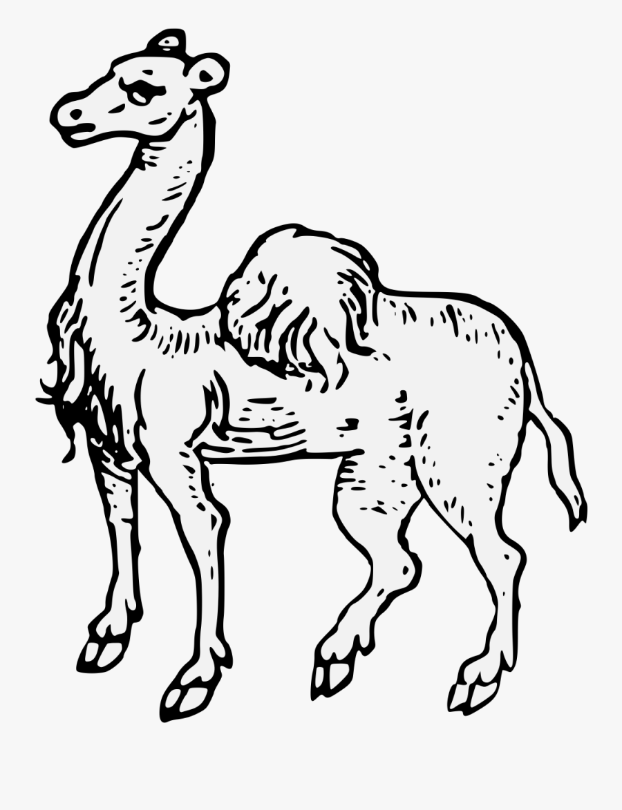 Cartoon, Transparent Clipart