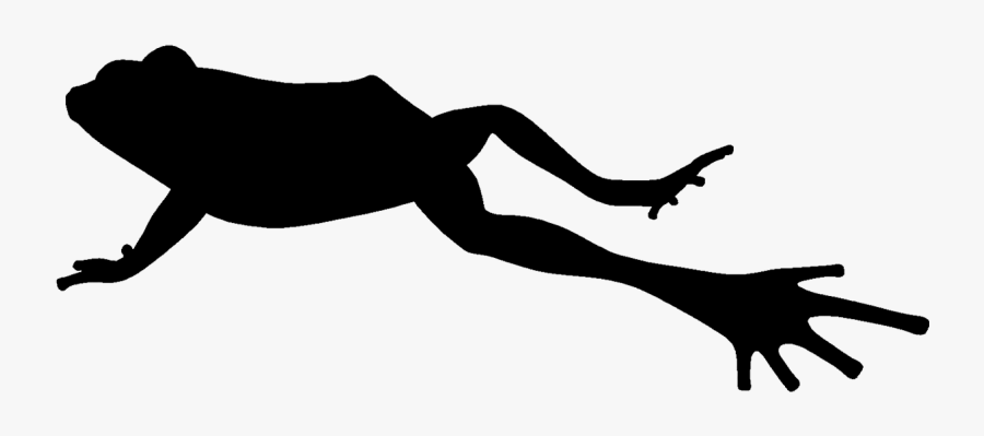 Toad Frog Jumping Contest Silhouette Clip Art - Png Frog Silhouette, Transparent Clipart
