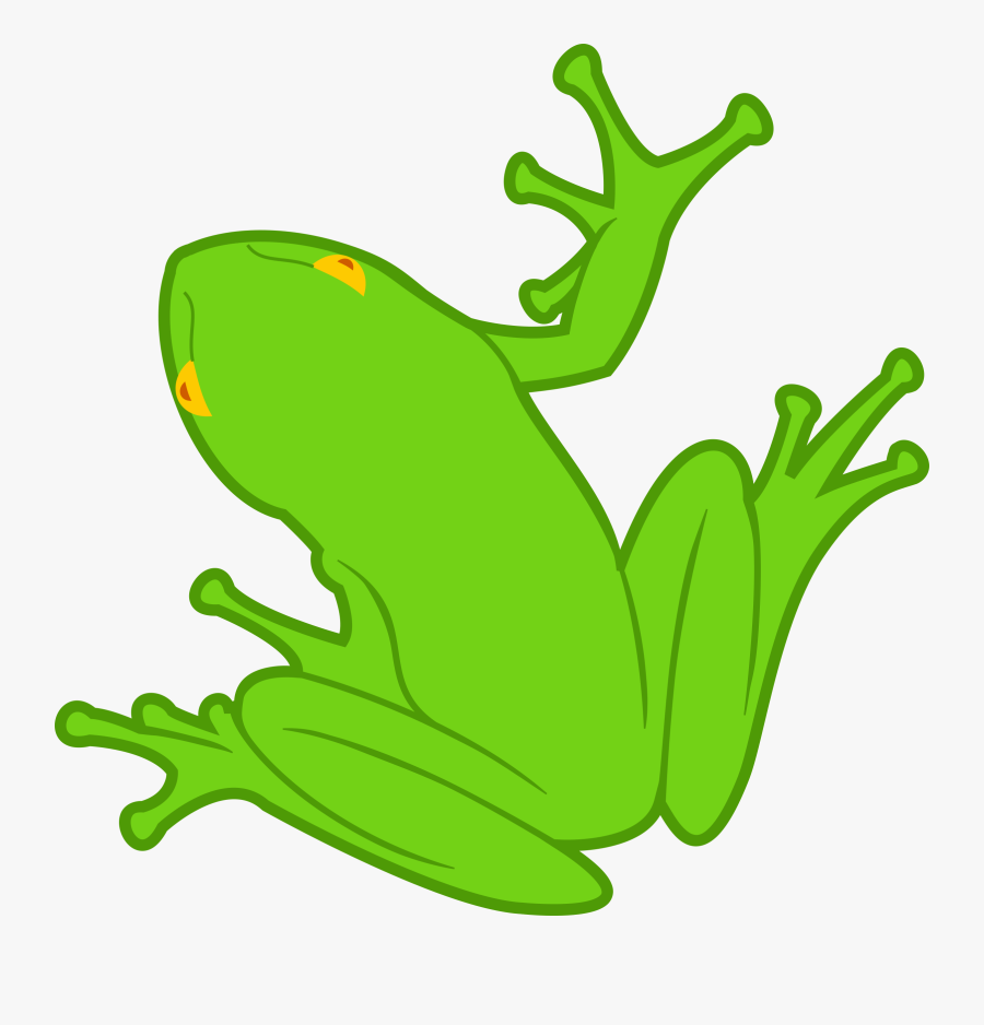 Frog - วาด สัตว์ ครึ่ง บก ครึ่ง น้ำ, Transparent Clipart