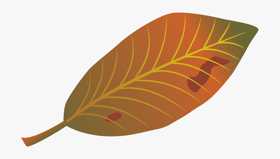 Leaf Autumn Clip Art - Illustration, Transparent Clipart