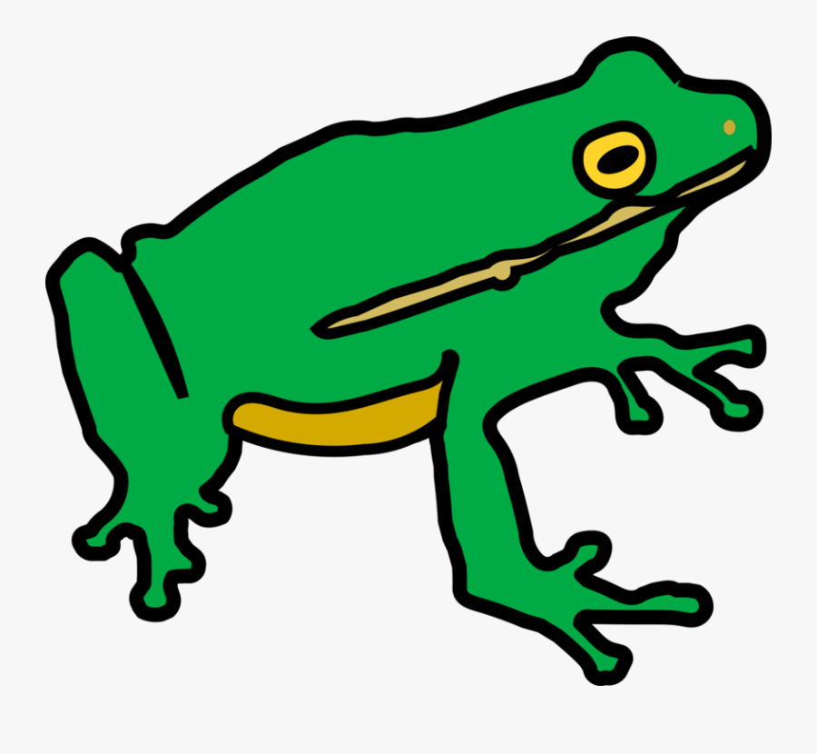 Frog, Transparent Clipart