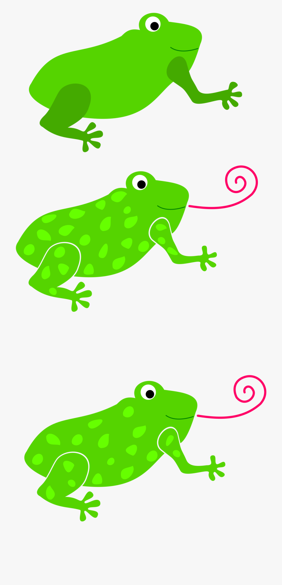 Frog Granota Grenouille 555px - Frog Tongue Clip Art, Transparent Clipart
