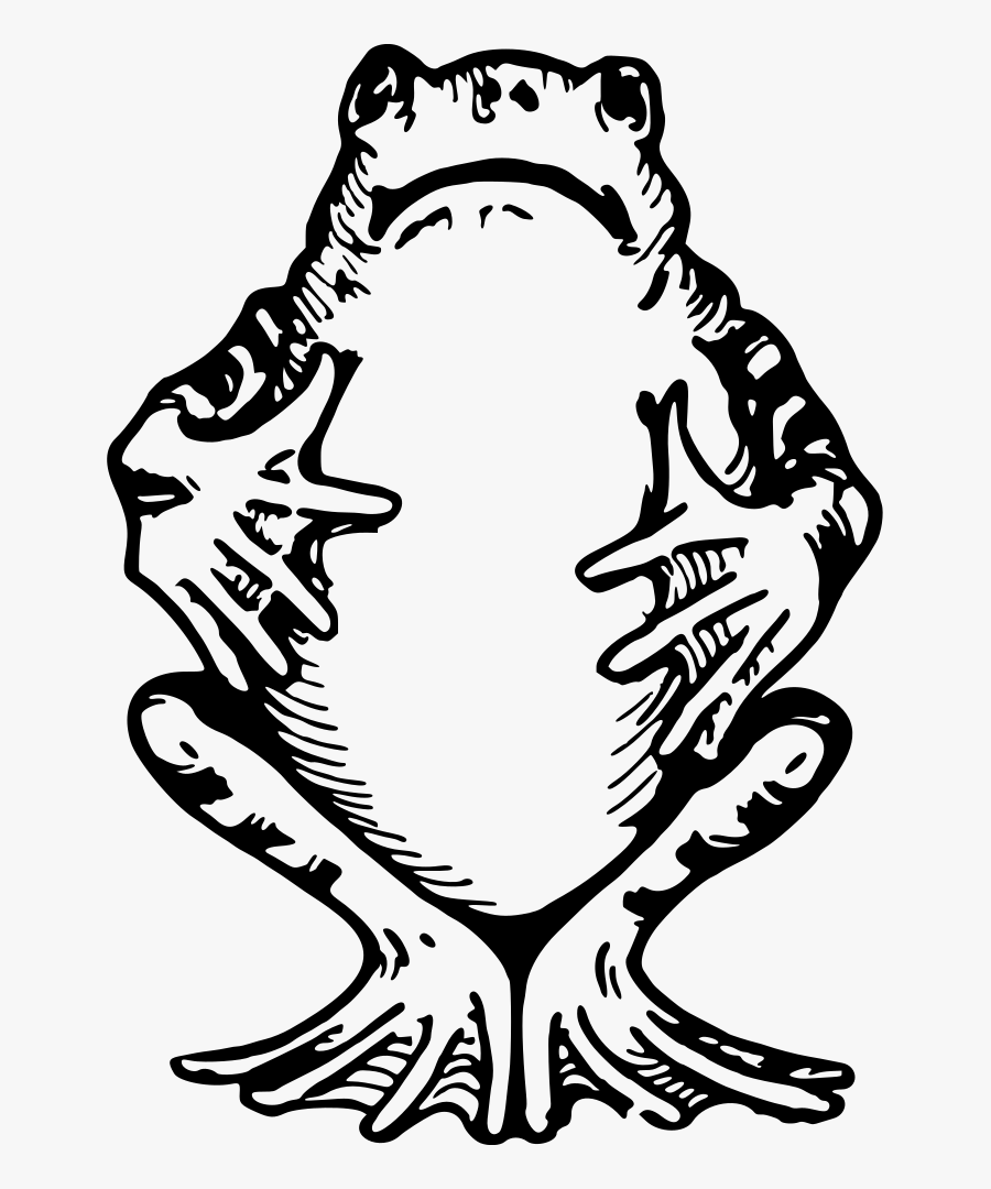Frog - Forest, Transparent Clipart
