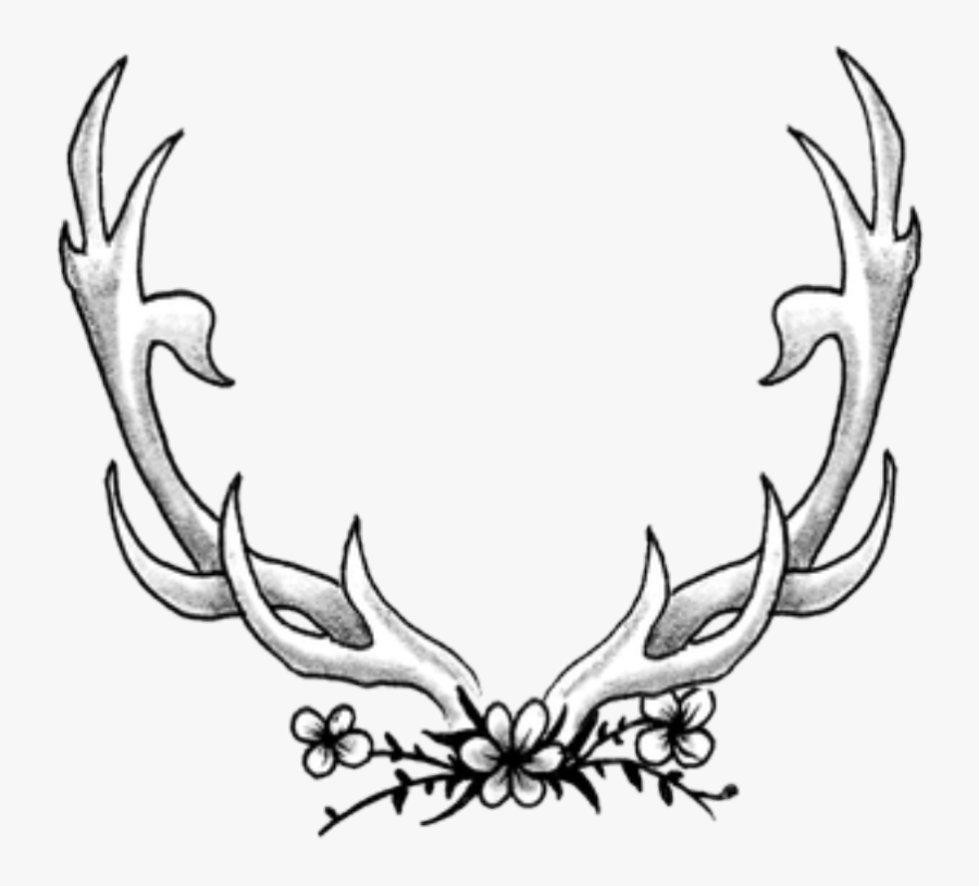 #deer #antlers - Sketch, Transparent Clipart