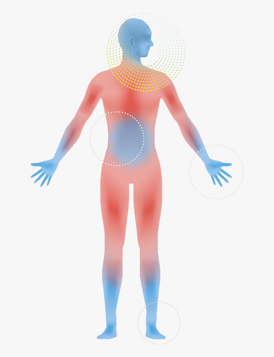 Graphic Royalty Free Download The Ki Of Living - Stroke Body, Transparent Clipart