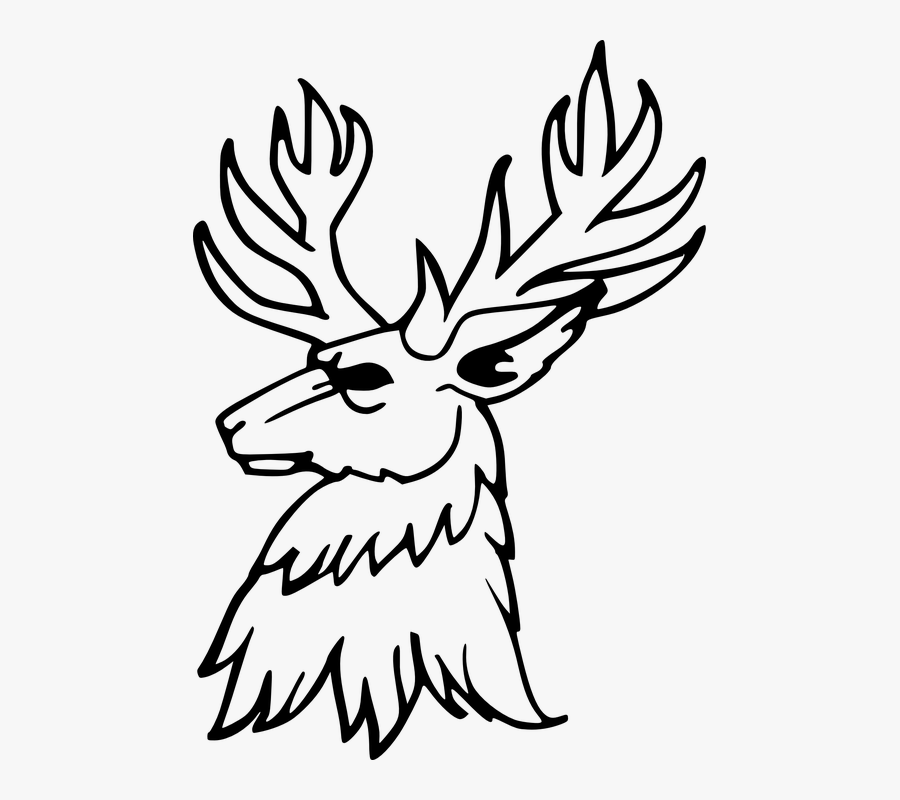 Stag, Horn, Antler, Deer, Wildlife, Animal, Wild - Deer Stag Line Drawing, Transparent Clipart