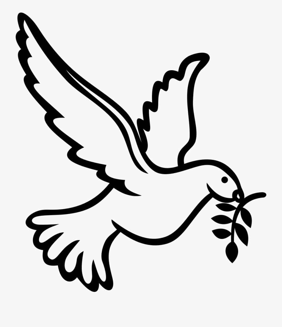 Clip Art Columbidae Calvary Chapel West - Dove Holy Spirit Drawing, Transparent Clipart