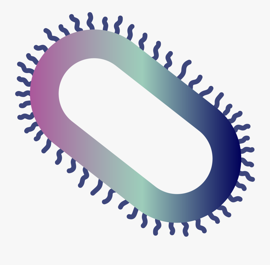 Holy Spirit Clipart , Png Download - Immunsystem Grafik, Transparent Clipart