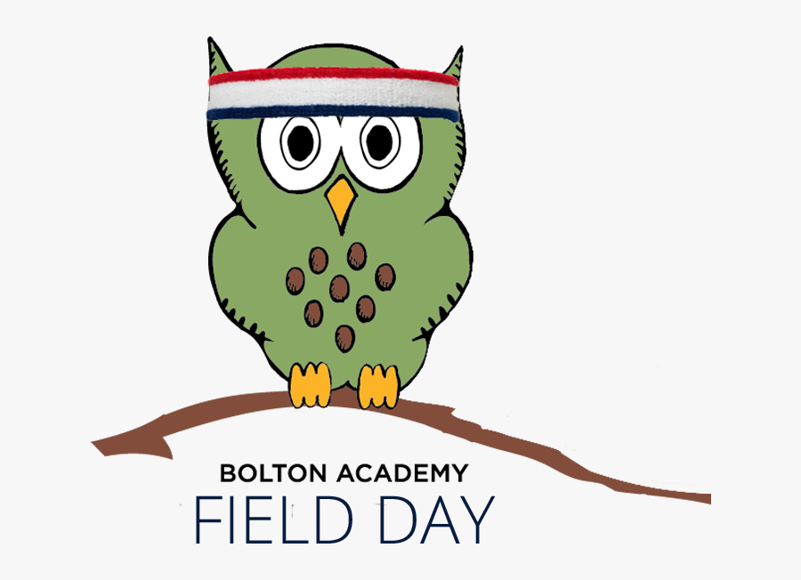 Field Day Owl, Transparent Clipart