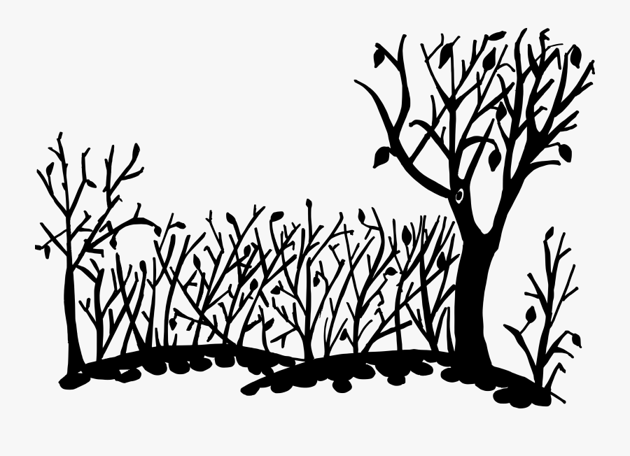 Clip Art Black And White Pictures Of Nature - Nature Art Drawing Background, Transparent Clipart