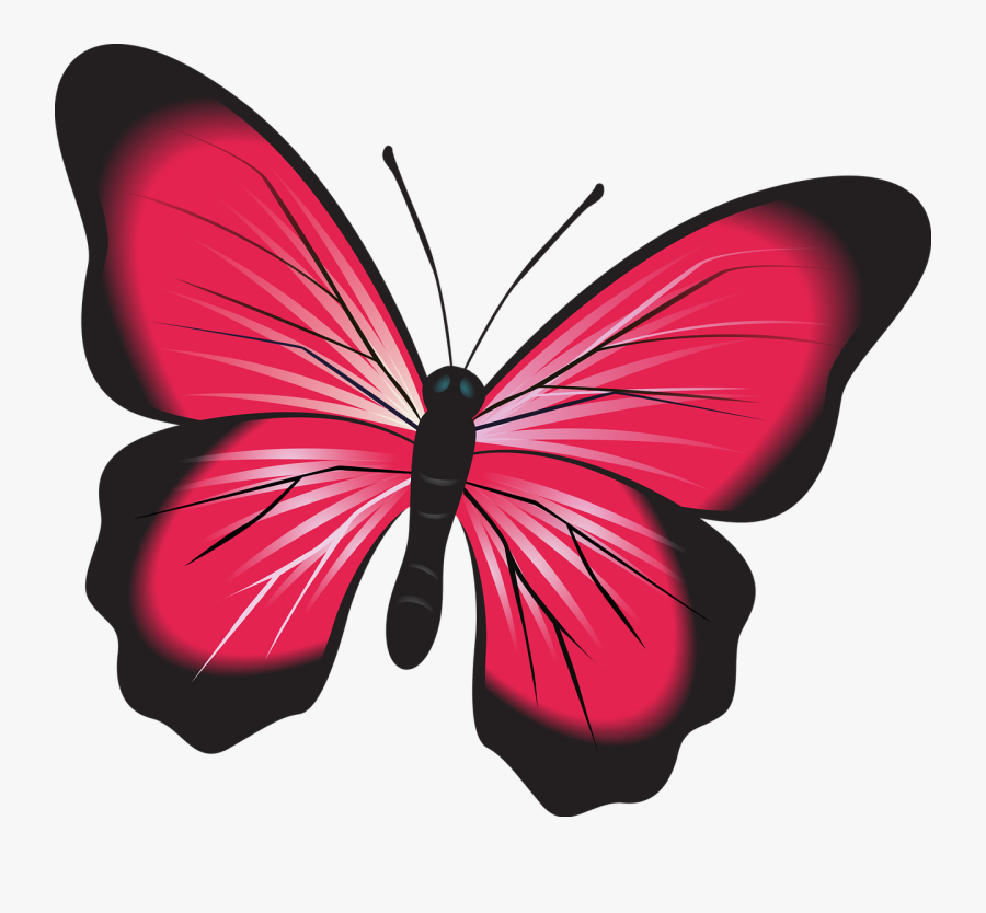 Butterfly Pink Clip Art Free Picture - Butterfly Fluturi, Transparent Clipart
