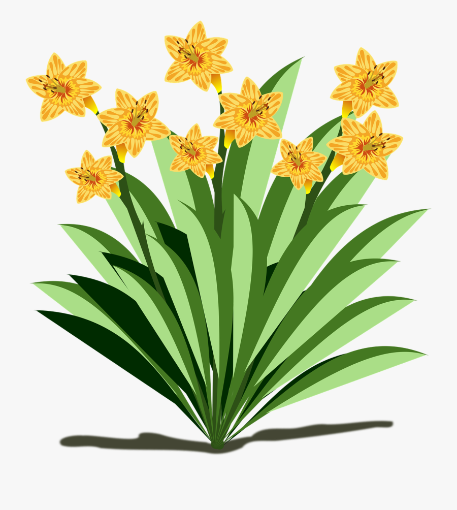 Clip Art, Flor, Flora, Flower, Nature, Plant - Flora Clipart, Transparent Clipart