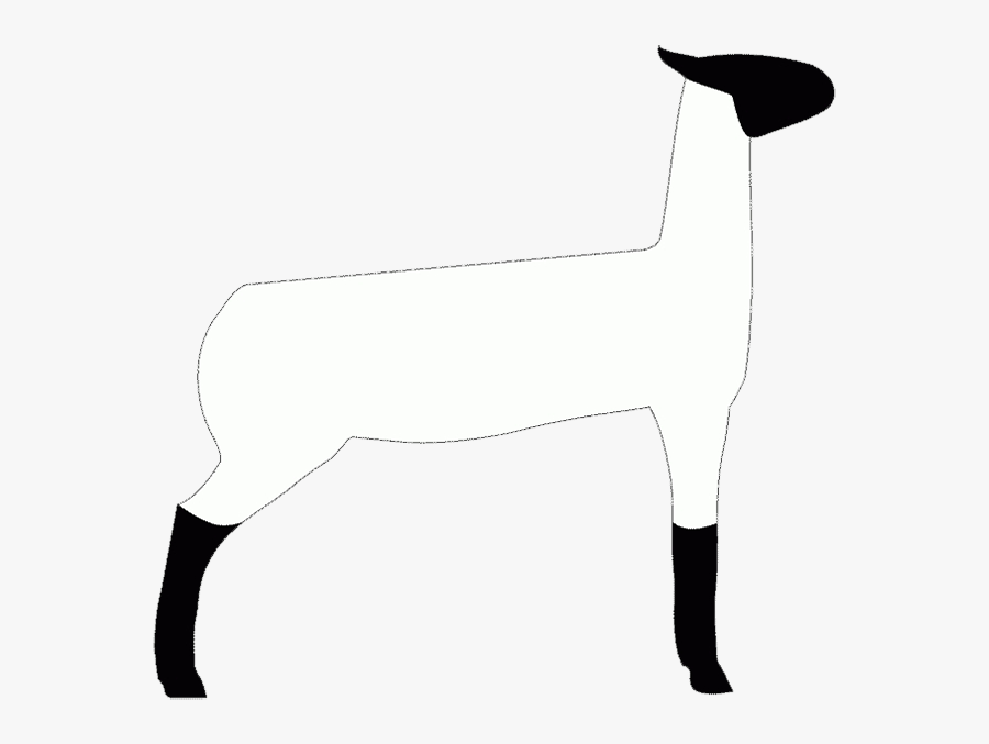 Dog, Transparent Clipart