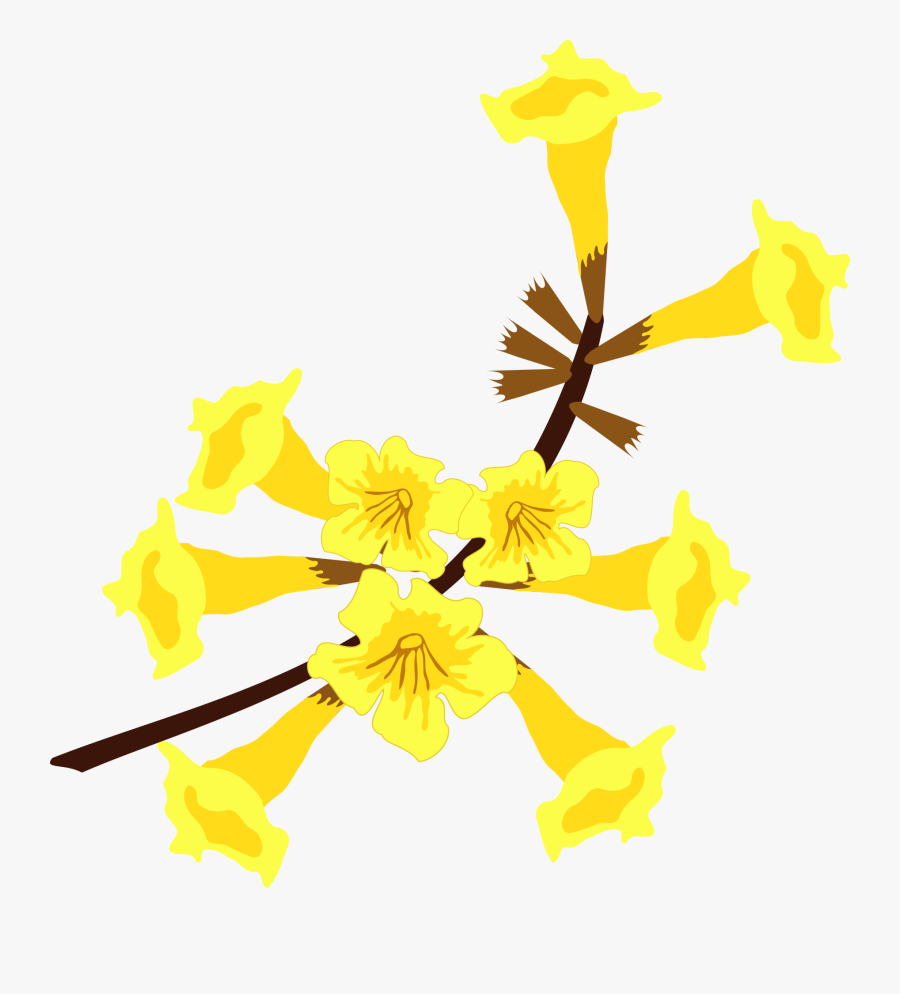 Clip Art Flor Flora Free Picture - Flor De Ipe Amarelo Png, Transparent Clipart