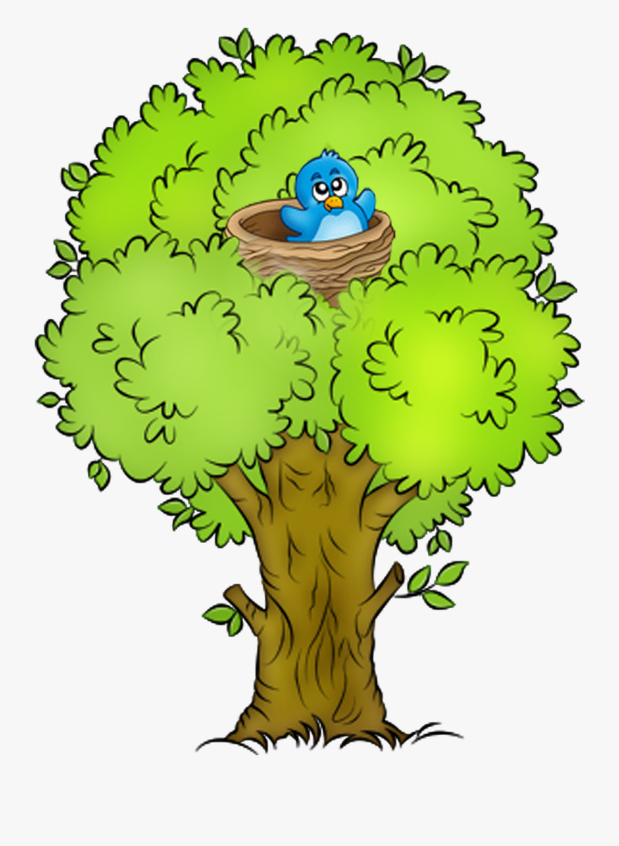 Orange Png Nature Clip Art - Nest On A Tree Clipart, Transparent Clipart