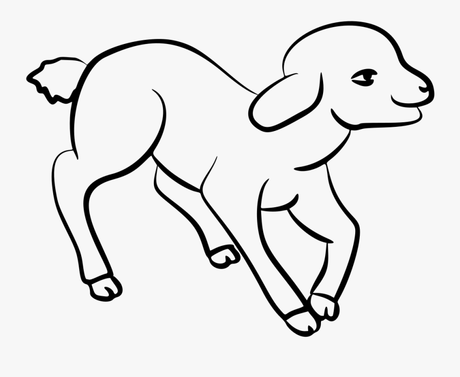 Lamb - Lamb Line Art, Transparent Clipart