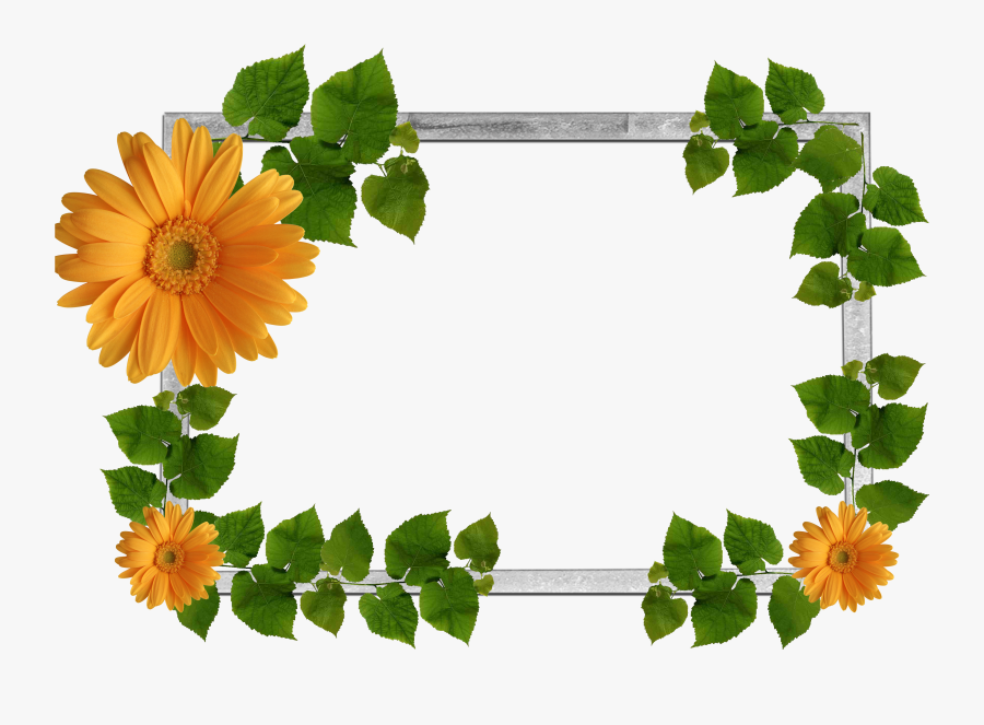 Flower Frame Png, Wallpaper Backgrounds, Nature Plants, - Nature Frame Png, Transparent Clipart