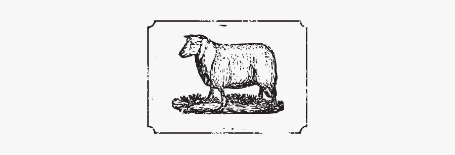 Cattle, Transparent Clipart