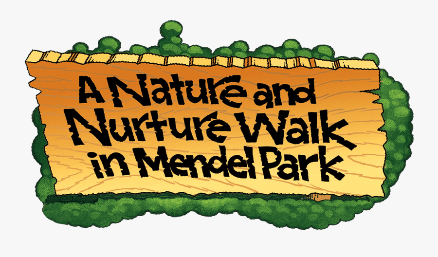 A Nature Nurture Walk In Mendel Park, Transparent Clipart