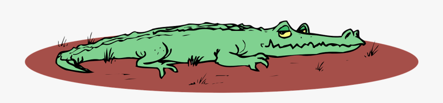 American Crocodile, Transparent Clipart