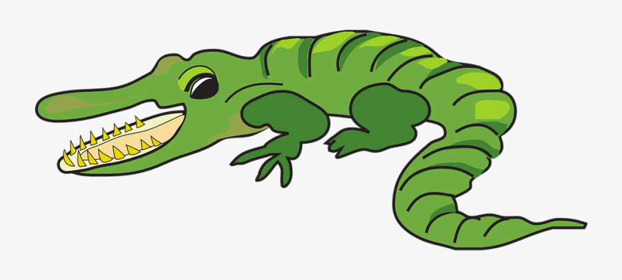 Clara Y Su Caiman, Transparent Clipart