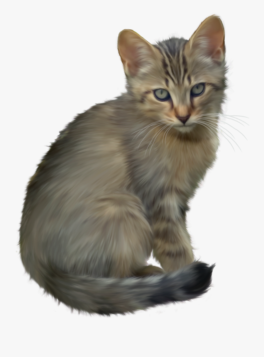 Download Kitten Transparent - Kitten Clip Art, Transparent Clipart