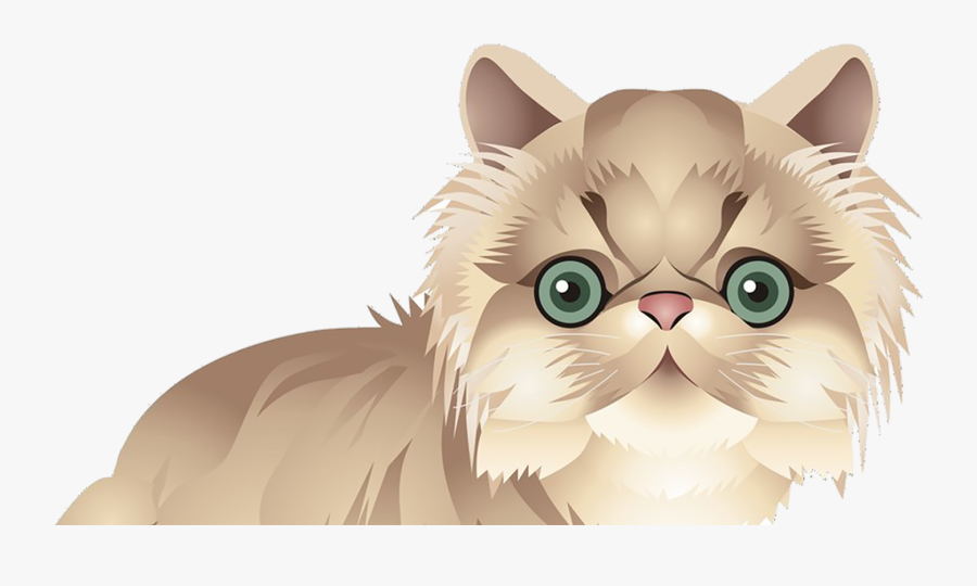 Persian Cat Vector Png, Transparent Clipart
