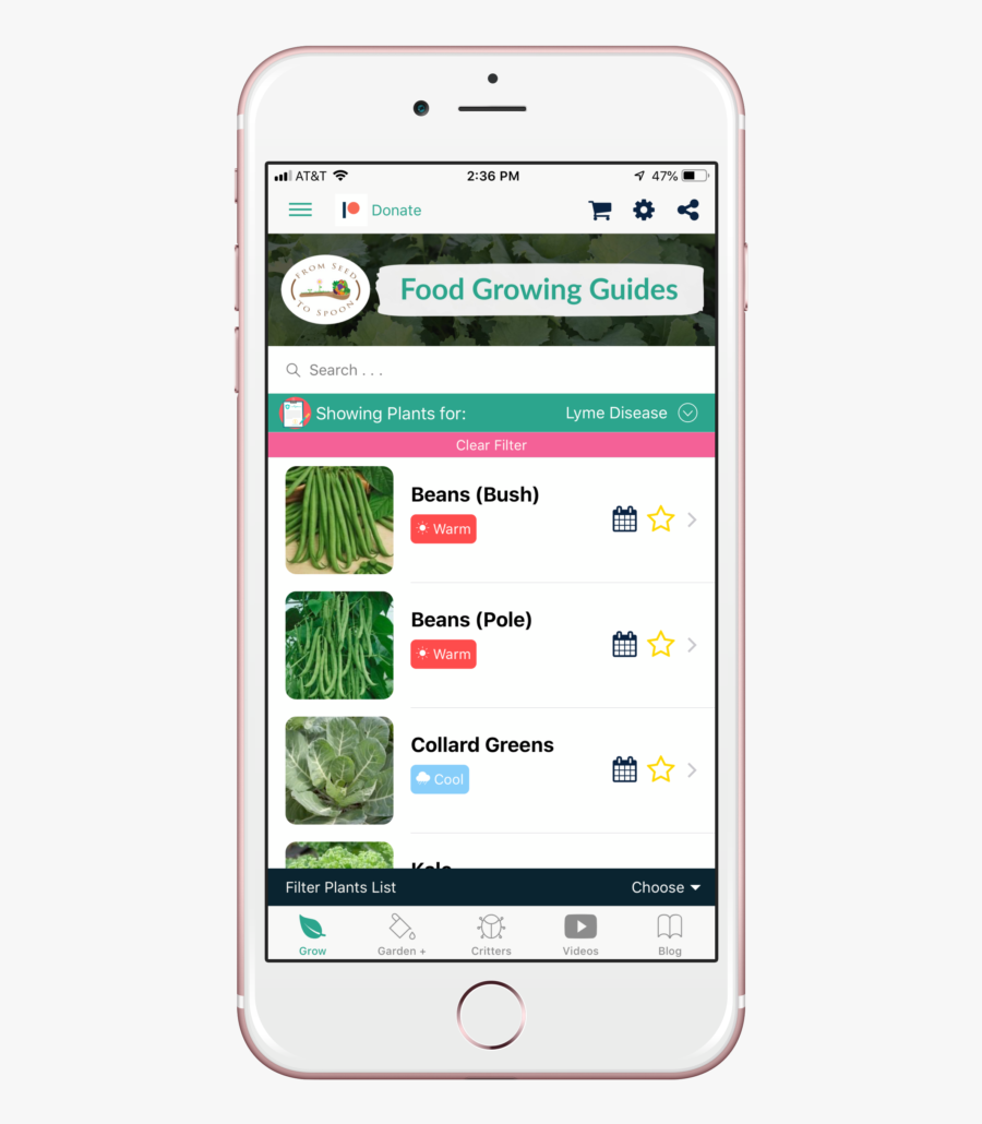 Lyme Disease - Health, Transparent Clipart