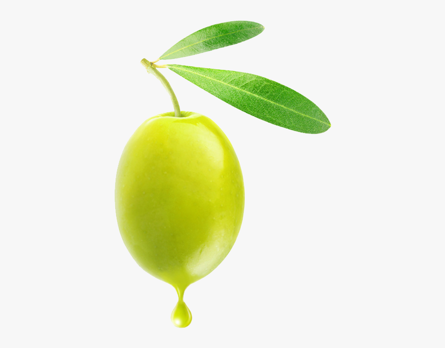 Olive Png, Transparent Clipart