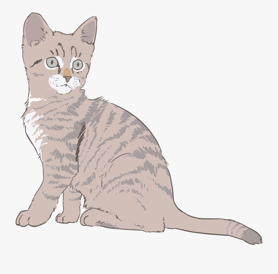Kitten Cat Drawing Free Picture - Kitten Draw Transparent Background, Transparent Clipart