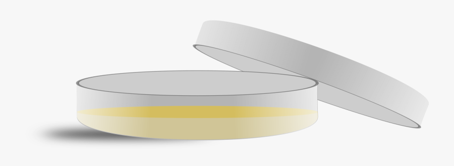 Thumb Image - Drawing Of A Petri Dish, Transparent Clipart