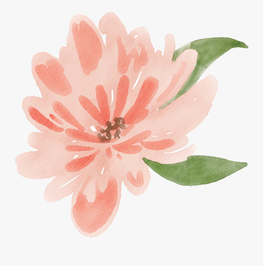 Clip Art Peach Water Color - Peach Water Color Flower, Transparent Clipart