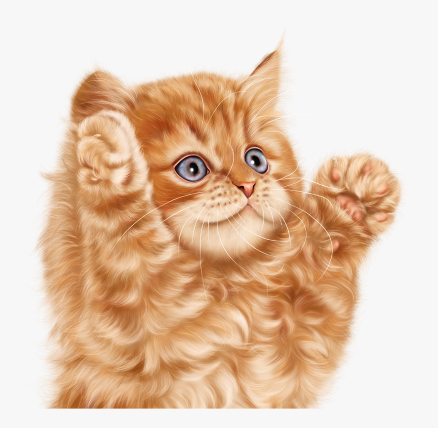 Cat In A Magic Hat, Transparent Clipart