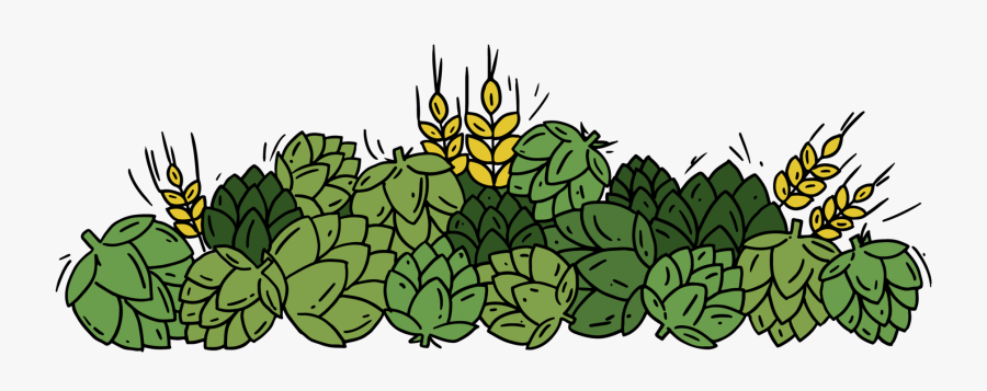 Hops Clipart Beer Ingredient - Illustration, Transparent Clipart