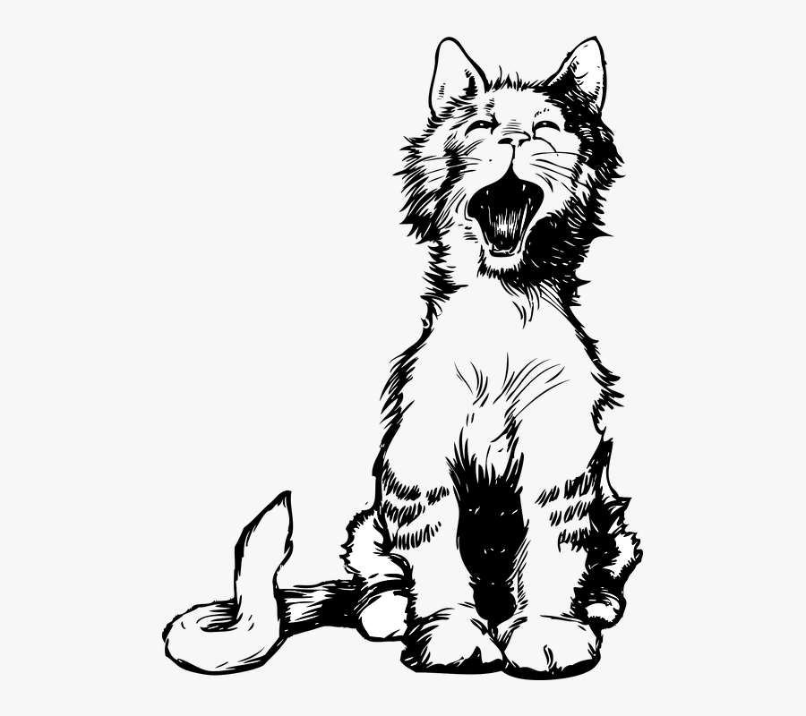 Kitten Clipart Cat Meow - Cat Meowing Vector, Transparent Clipart