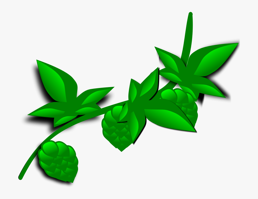 Free Clipart - Hops - Illustrated - Farmeral - Plant Clip Art, Transparent Clipart