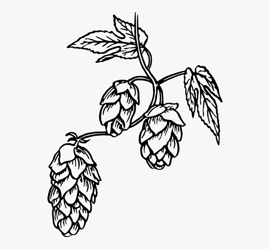 Thumb Image - Hops Png, Transparent Clipart