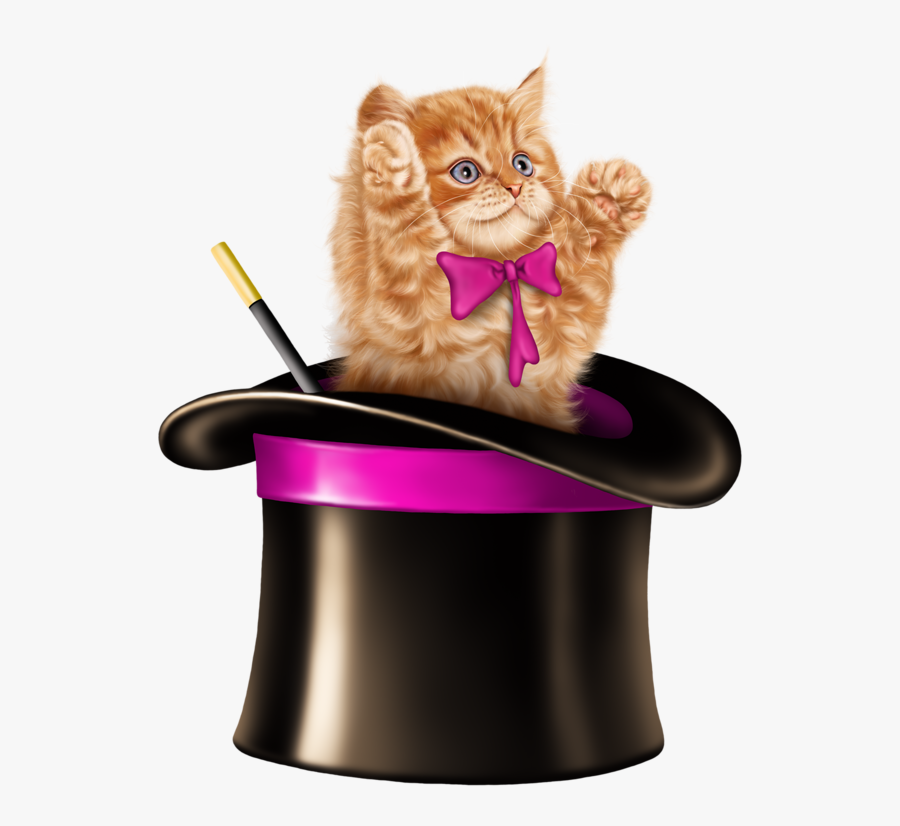 Kitten Cartoon, Kitten Images, Tube, Clip Art, Card - Cat In A Magic Hat, Transparent Clipart