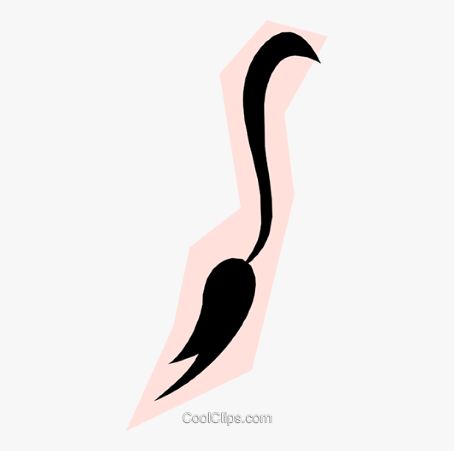 Donkey Tail Clipart, Transparent Clipart