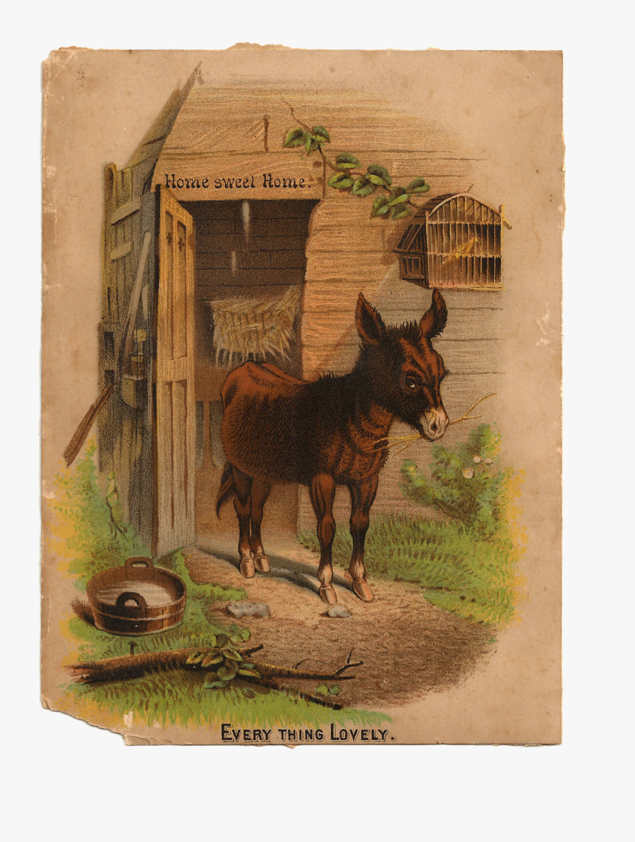 Burro, Transparent Clipart